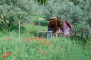“camping”